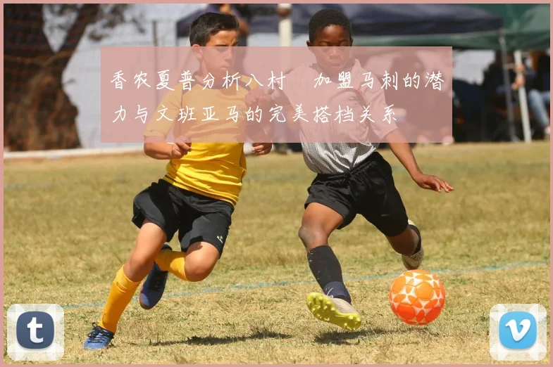 香农夏普分析八村塁加盟马刺的潜力与文班亚马的完美搭档关系